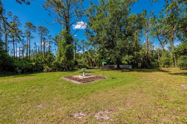 4461 La France Ave, North Port, FL 34286 - view of grassy yard