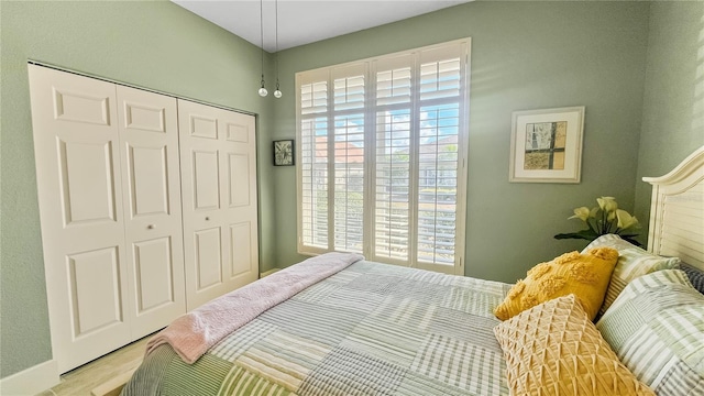 bedroom with wood finished floors and a closet