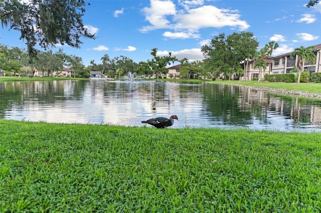 property view of water