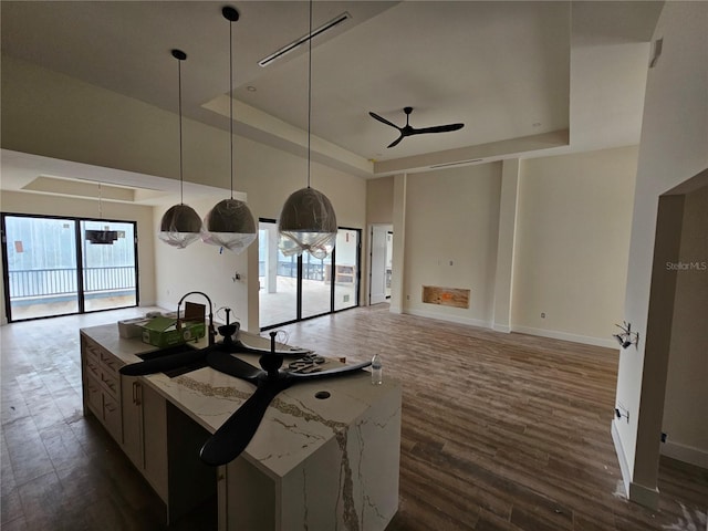 10522 Riverside Rd, Port Charlotte, FL 33981 - kitchen with a tray ceiling, open floor plan, ceiling fan, dark wood finished floors, and a kitchen island with sink
