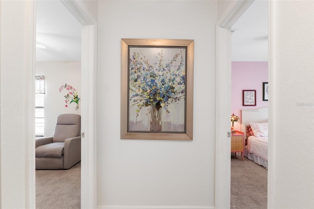 27147 Guapore Dr, Punta Gorda, FL 33983 - hall featuring carpet floors