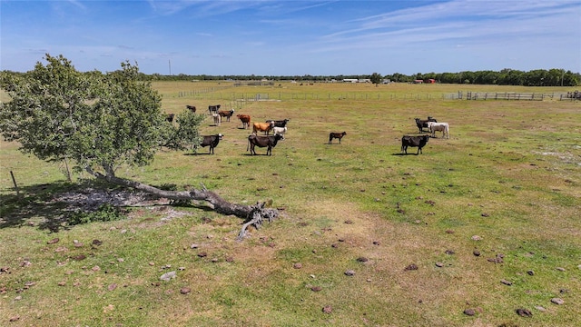 view of yard with a rural view