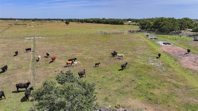 birds eye view of property featuring a rural view