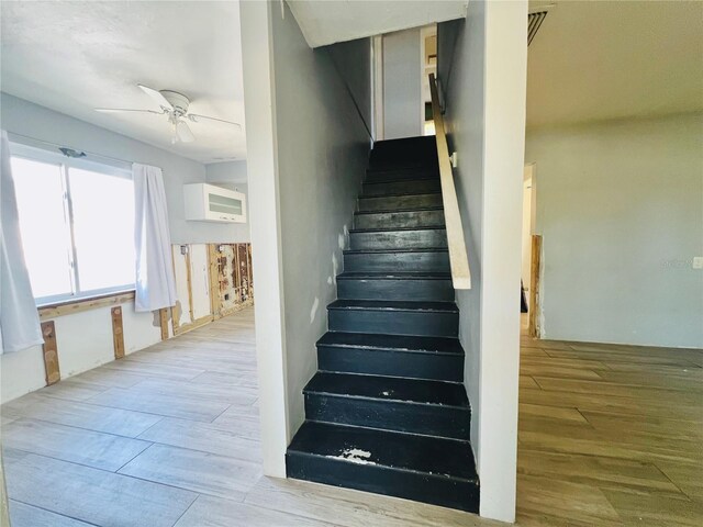 stairway featuring ceiling fan and wood finished floors