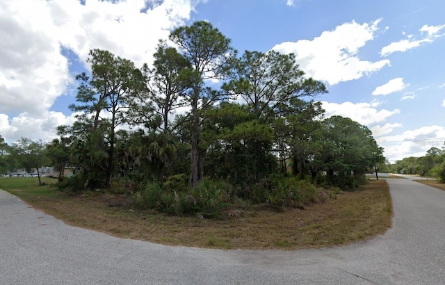 17508 York Ave, Port Charlotte, FL 33948 - photo 2