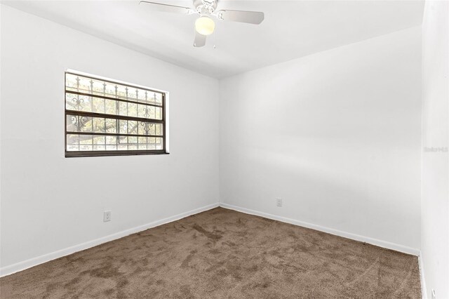 815 Papaya Dr, Tampa, FL 33619 - photo 18