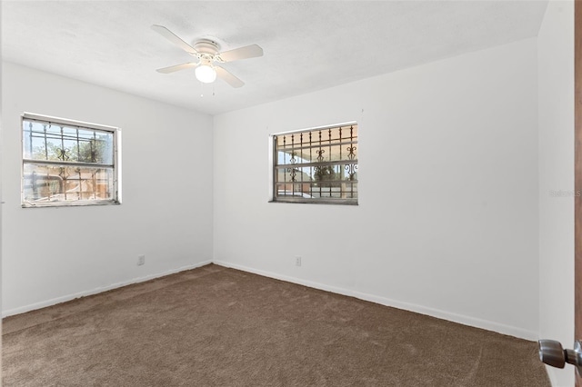 815 Papaya Dr, Tampa, FL 33619 - photo 21