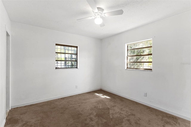 815 Papaya Dr, Tampa, FL 33619 - photo 23