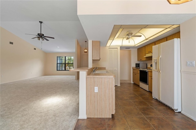 453 Carolyn Ln, Punta Gorda, FL 33950 - kitchen with a ceiling fan, electric range, a sink, stainless steel microwave, and white fridge with ice dispenser