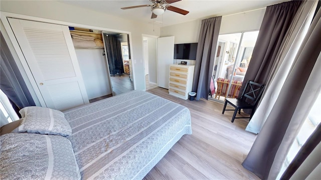bedroom featuring light wood-style flooring, a closet, ceiling fan, and multiple windows