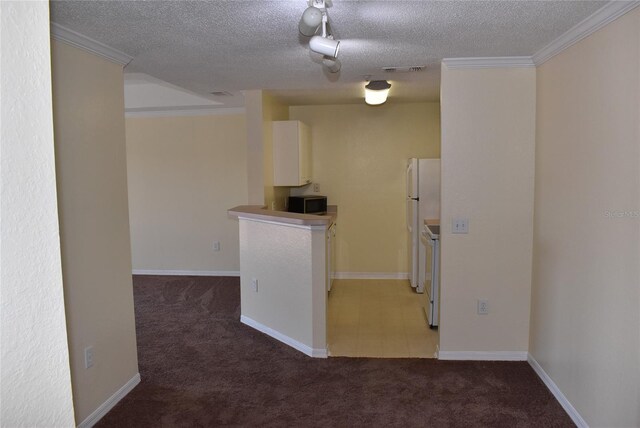 18001 Richmond Place Dr Unit 636, Tampa, FL 33647 - spare room featuring ornamental molding, a textured ceiling, and carpet