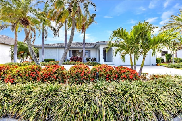 80 Hibiscus Dr, Punta Gorda, FL 33950 - view of front facade with a garage, stucco siding, driveway, and a tile roof
