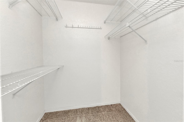 80 Hibiscus Dr, Punta Gorda, FL 33950 - spacious closet with carpet floors
