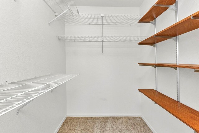 80 Hibiscus Dr, Punta Gorda, FL 33950 - walk in closet featuring carpet floors