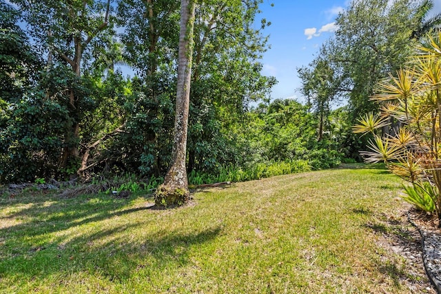15464 Crystal Lake Dr, North Fort Myers, FL 33917 - photo 29