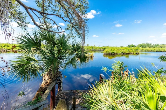 31037 Prairie Creek Dr, Punta Gorda, FL 33982 - photo 42