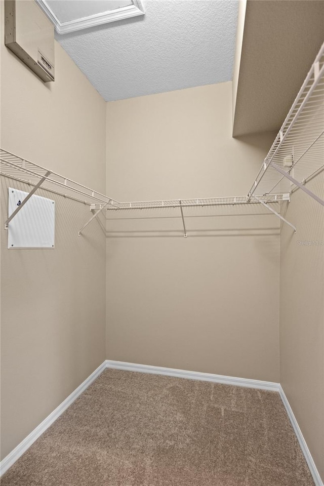 3230 Southshore Dr Unit 33A, Punta Gorda, FL 33955 - walk in closet with carpet and a wall mounted air conditioner