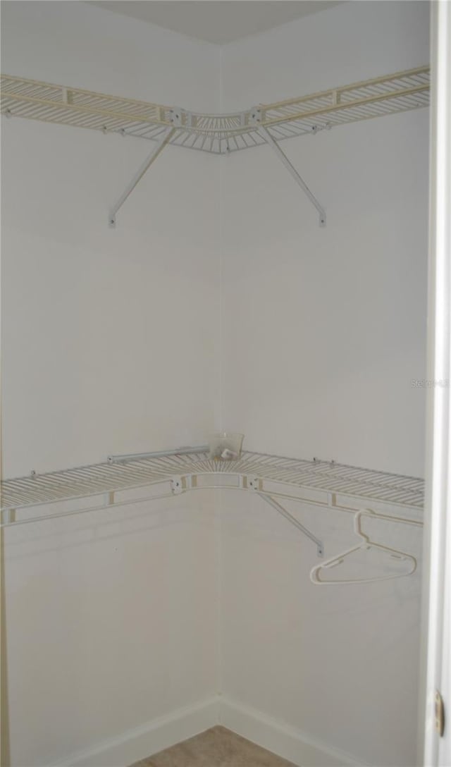 1118 NW 17th St, Cape Coral, FL 33993 - view of spacious closet
