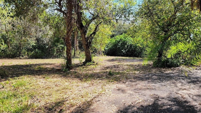 626 Drury Ln, Punta Gorda, FL 33950 - photo 4