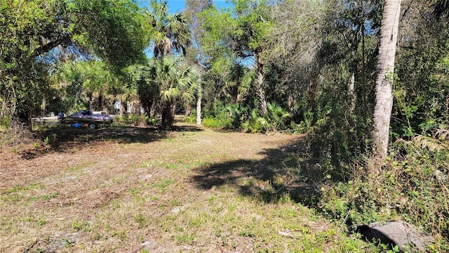 626 Drury Ln, Punta Gorda, FL 33950 - photo 5