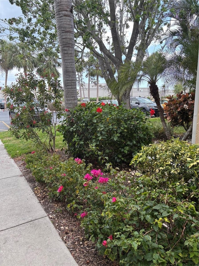 618 Bird Bay Dr S Unit 109, Venice, FL 34285 - view of yard