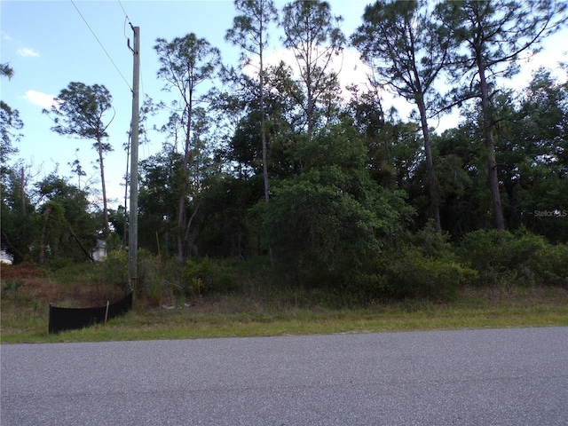 Ulman Ave, North Port, FL 34286 - photo 2