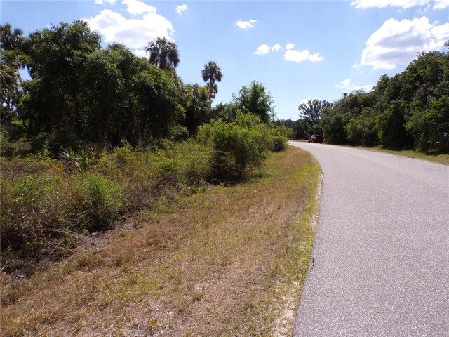 Ulman Ave, North Port, FL 34286 - photo 6