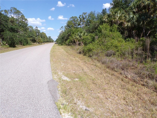 Ulman Ave, North Port, FL 34286 - photo 8