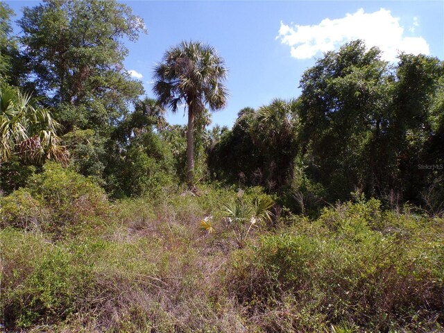 Ulman Ave, North Port, FL 34286 - photo 9