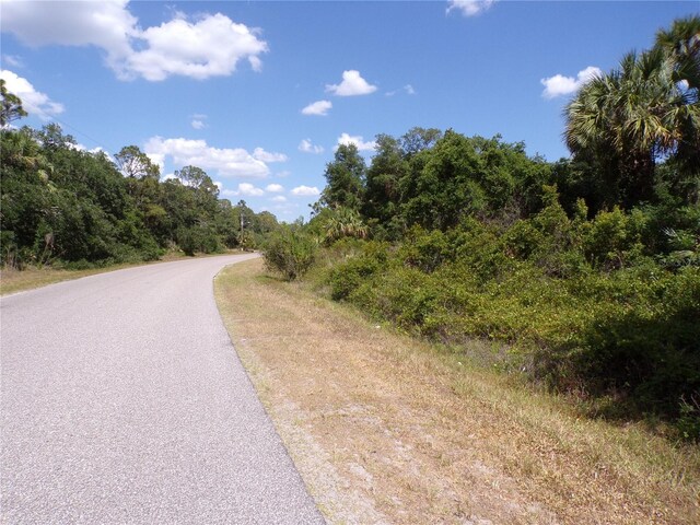 Ulman Ave, North Port, FL 34286 - photo 10