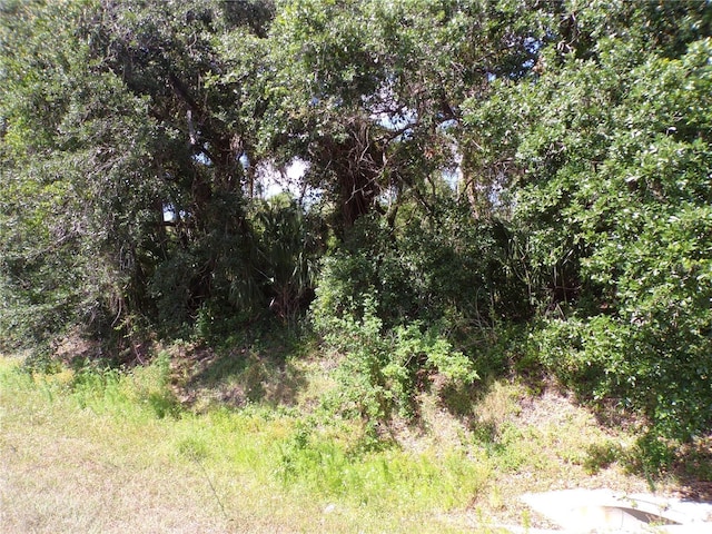 Ulman Ave, North Port, FL 34286 - photo 25