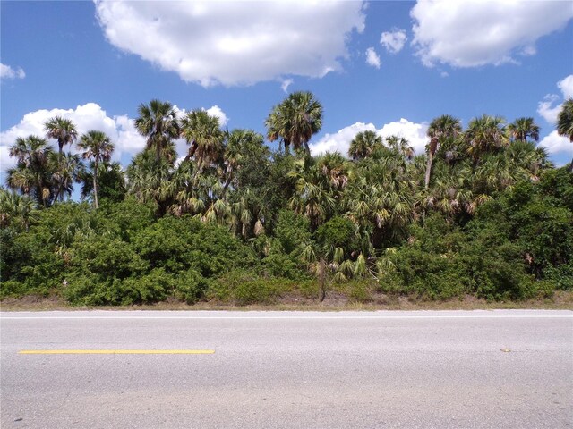 Ulman Ave, North Port, FL 34286 - photo 31