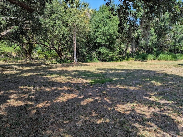 view of yard with a wooded view