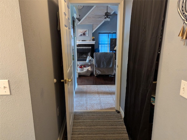 hallway with carpet floors