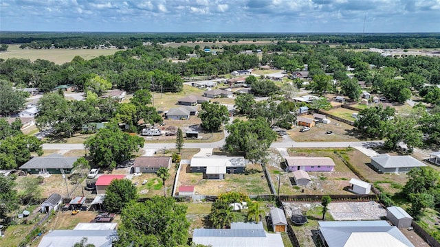 1741 NE Trisha Dr, Arcadia, FL 34266 - aerial view of residential area