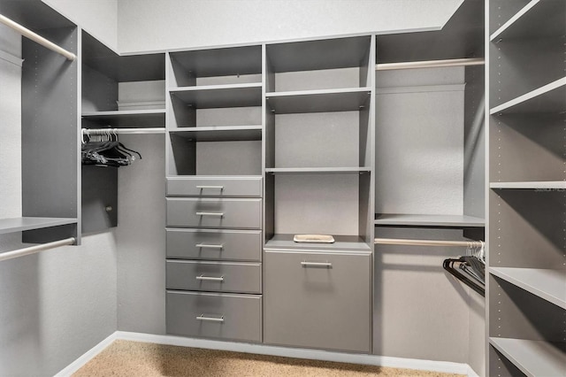 3520 Caya Largo Ct, Punta Gorda, FL 33950 - view of walk in closet