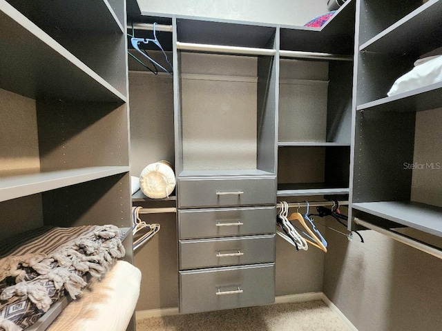 3520 Caya Largo Ct, Punta Gorda, FL 33950 - walk in closet with carpet
