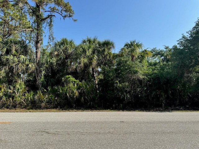 14258 Chamberlain Prt, Charlotte, FL 33953 - photo 1