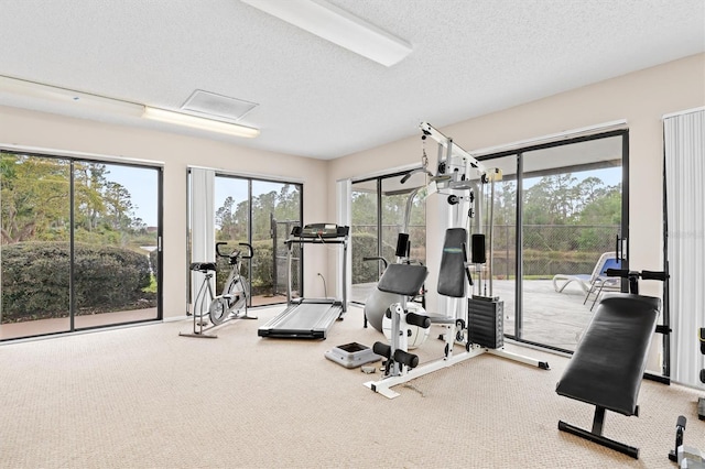 exercise area featuring carpet and a textured ceiling
