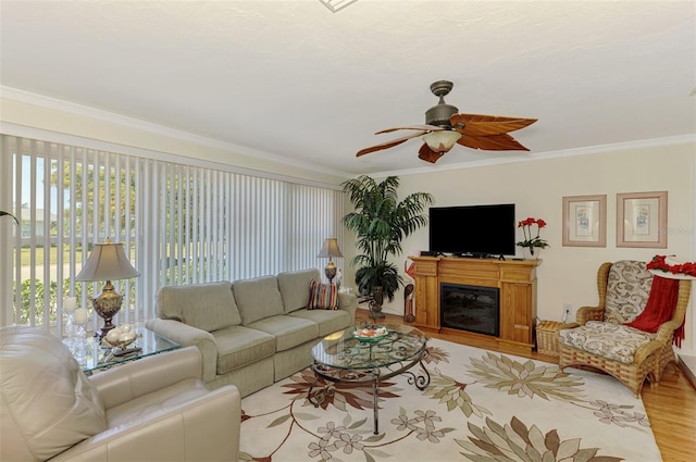 living area featuring ornamental molding, light wood finished floors, a ceiling fan, and a glass covered fireplace