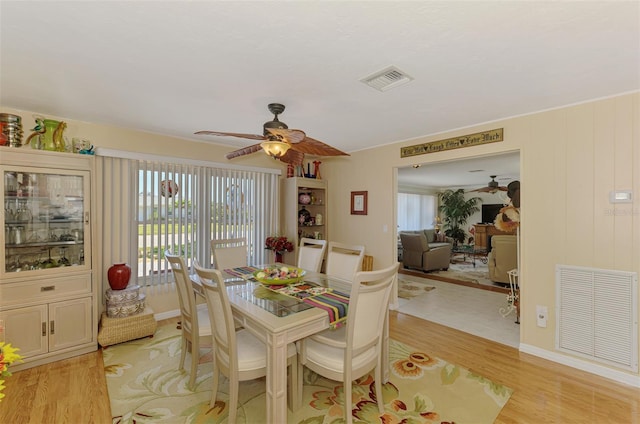 dining room featuring ceiling fan, visible vents, and light wood-style flooring