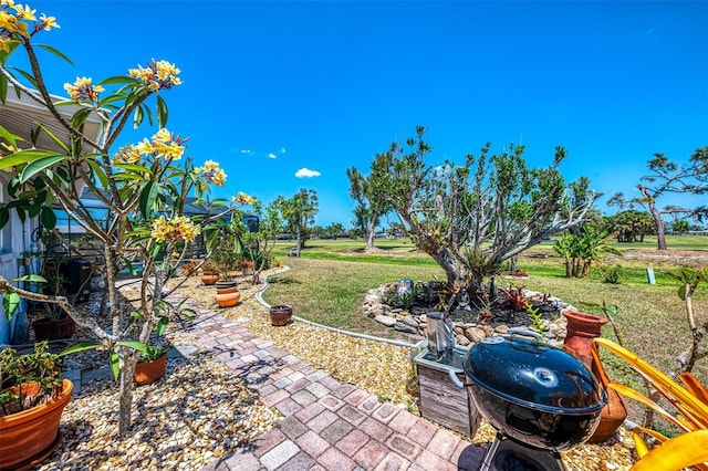 view of yard with a lanai