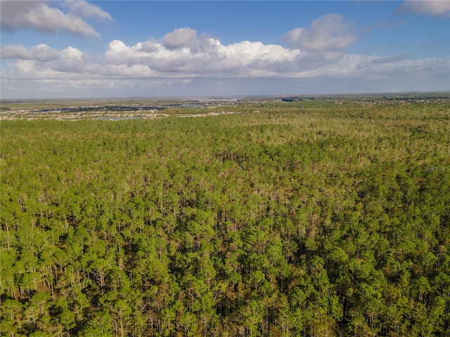 6763 Winding Cypress Dr, Naples, FL 34114 - view of local wilderness featuring a forest view