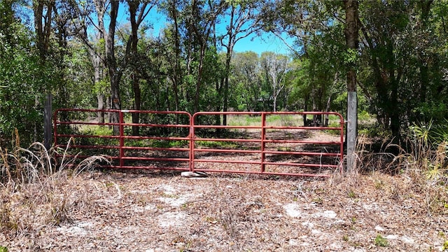 34281 Umbrella Rock Dr, Webster, FL 33597