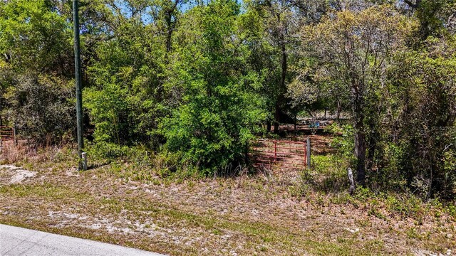 34281 Umbrella Rock Dr, Webster, FL 33597
