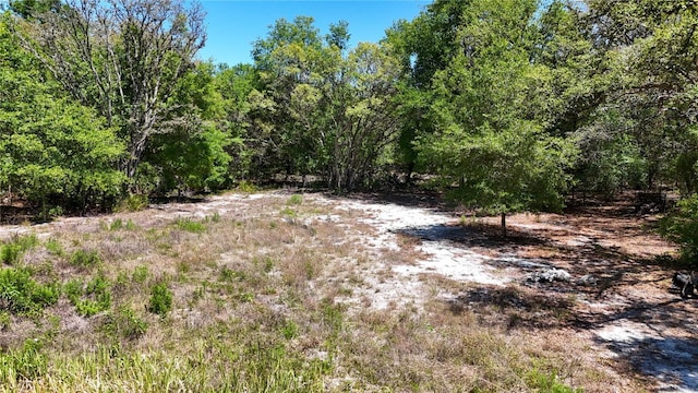 34281 Umbrella Rock Dr, Webster, FL 33597