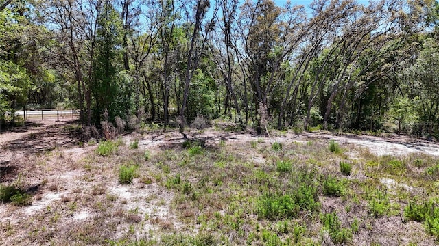 34281 Umbrella Rock Dr, Webster, FL 33597