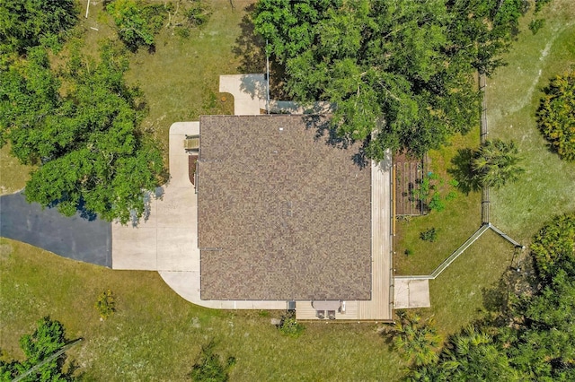 bird's eye view