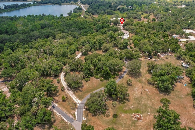 aerial view featuring a water view and a view of trees