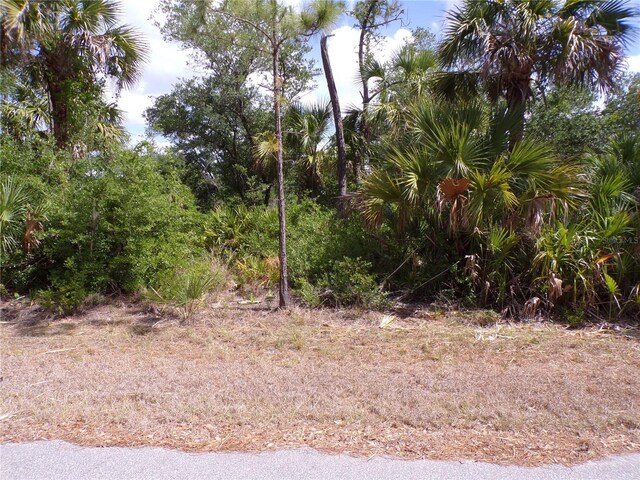 14448 Mcmillin Ave, Port Charlotte, FL 33953 - photo 5
